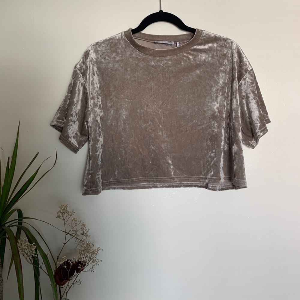 *SOLD* UO Velvet Crop Top